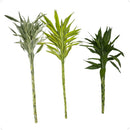 1 Bambu Da Sorte Variegata Branco Natural Com 4 Hastes