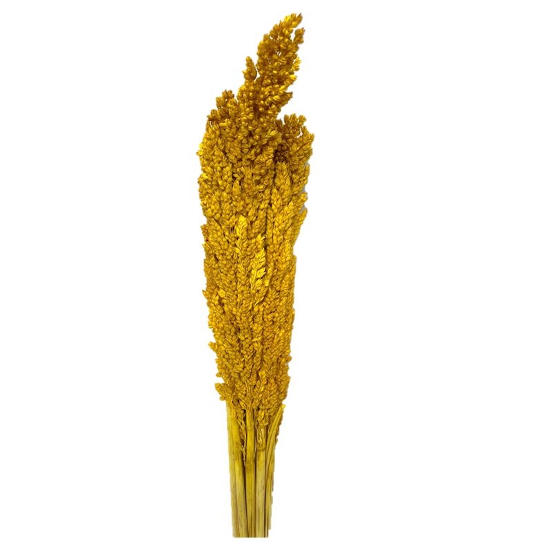 Buquê Capim Flor Sorgo Secos Arranjo Desidratado