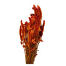 1 Buque Rabo De Gato Desidratadas Maço Celosia