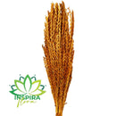 Buquê Flor de Milho