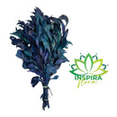 Folhagem Carne de Vaca