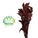 Folhagem Carne de Vaca