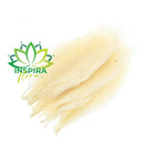 Folha Flor de Magnólia Esquelética Solta Pacote Com 10 UN