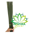 50 Vareta Junco Verde