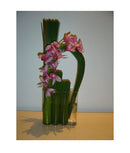 50 Vareta Junco Verde