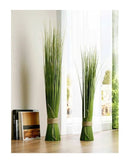 50 Vareta Junco Verde