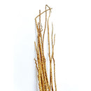 Cabo de Açaí Desidratado