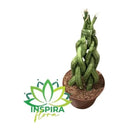 Espada Torre de São Jorge