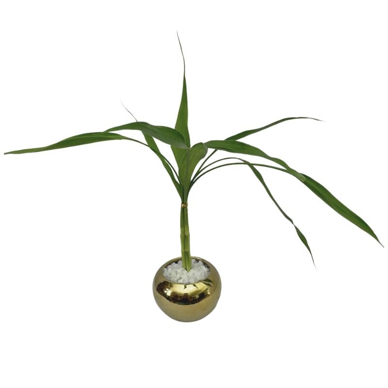 Planta Bambu Da Sorte 3 Haste Com Vaso Dourado