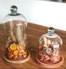 Redoma Cúpula De Vidro Decoração 15Cm - PP