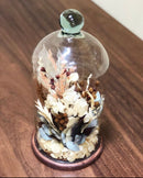 Redoma Cúpula De Vidro Decoração 15Cm - PP