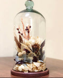 Redoma Cúpula De Vidro Com Base De Madeira Decoração 14x20 - P