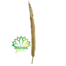 Folha De Palmeira Alvejada Fina Decoração 8 X 1,30cm