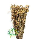 Buque Flor Chuvisco Natural Desidratada Buque Flores Secas