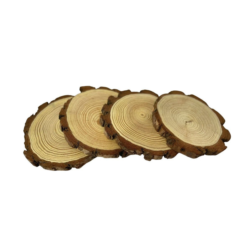 4 Bolachão De Madeira Pinus Importada Pequena Para Decoração