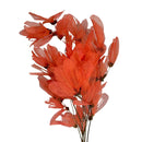 Flor no Galho Esquelética Magnólia Salmão