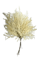 Maço de Avencão Alvejado Decoração Jardim Vertical