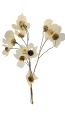 Buquê de Flor com Folha Esqueletizada