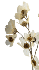 Buquê de Flor com Folha Esqueletizada