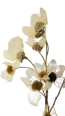 Buquê de Flor com Folha Esqueletizada