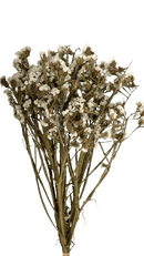 Buquê Estatice Branca Desidratada Arranjo Decoração