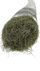 Musgo Seco Barba De Velho Saco Grande Com Aprox. 400 Gramas