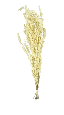 Buque de Eucalipto Alvejado Decoração Arranjos