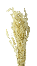 Buque de Eucalipto Alvejado Decoração Arranjos