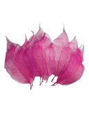 Buquê Brinco De Princesa Buganvília No Galho Rosa Decoração