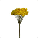 Buquê Brinco De Princesa Buganvília No Galho Amarelo Decoração