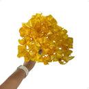 Buquê Brinco De Princesa Buganvília No Galho Amarelo Decoração