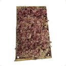 Caixa De Musgo Fofão Rosa Terrário Kokedamas Terrariun Top Para Arranjos Natural Vivo