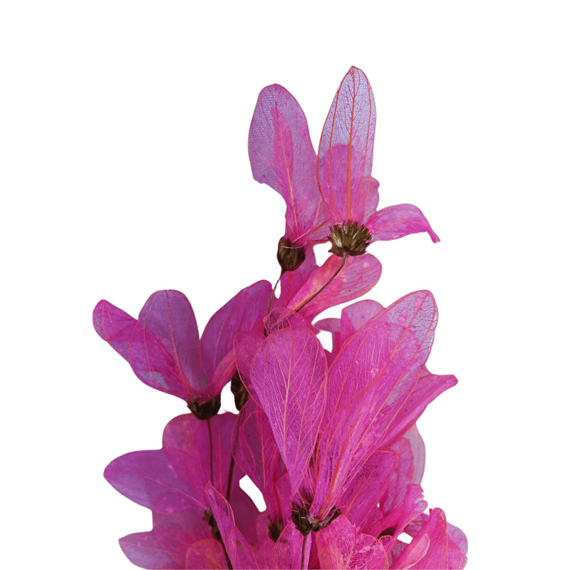 Flor De Magnólia No Galho Folha Rosa Arranjo Decoração