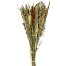 Buquê De Casamento Desidratado Com Flores Preservadas Decoração