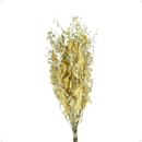 Buquê Desidratado Dedo De Anjo Alvejado Seco Decoração Para Arranjo