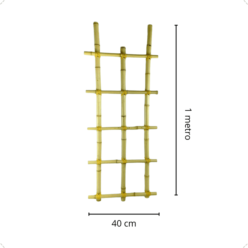 Treliça De Bambu Módulo 1 Metro Jardim Vertical Decoração Solo