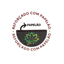 Espuma Floral Para Festas Forma Placa CX/13 Unidades F6000