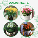 Caixa 15 Kalanchoe Coloridas Sortidas Decoração Festa Lembrancinha Flores Pequenas