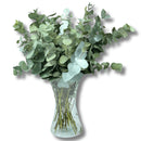 Arranjo Floral Eucalipto Desidratado Com Vaso Vidro Julieta