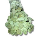 1 Pacote  200 Folhas de Eucalipto Desidratada Soltas Seca Natural Selo Convite Verde