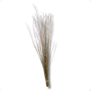 50 Galhos Azuk Secos Vime Bolinha Desidratado Paisagismo