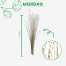 50 Galhos Azuk Secos Vime Bolinha Desidratado Paisagismo