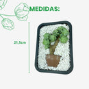 1 Bonsai Suculenta Deitado Variado Decoração Natural