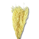 Buquê Capim Licopodium Cores Desidratado Arranjo Decoração