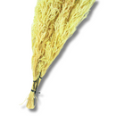 Buquê Capim Licopodium Cores Desidratado Arranjo Decoração