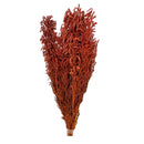 Buquê Capim Licopodium Cores Desidratado Arranjo Decoração