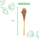 Buquê Flor De Vassoura Vassourinha Desidratado Seco