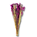 Buque Rosa Desidratado Para Decoração Casamento