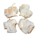 4 Casca Boca De Sapo Semente Enfeite Decorações Alvejada