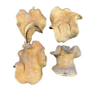 4 Casca Boca De Sapo Sementes Enfeite Decorações Natural